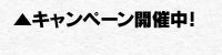 キャンペーン開催中!