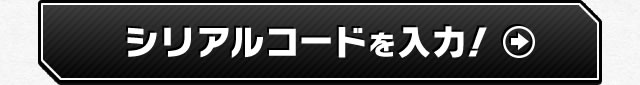 シリアルコードを入力!