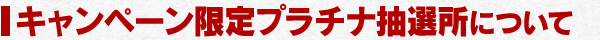 キャンペーン限定プラチナ抽選所について