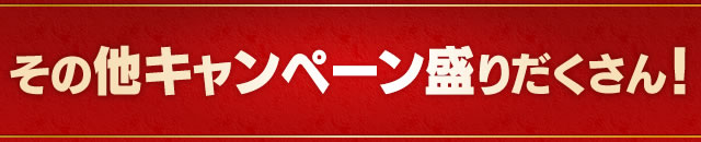 その他キャンペーン盛りだくさん!