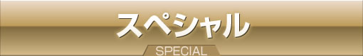 スペシャル