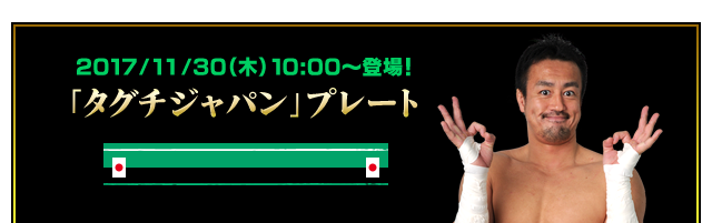 「タグチジャパン」プレート